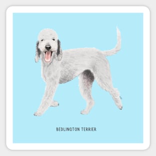 cute bedlington terrier dog Sticker